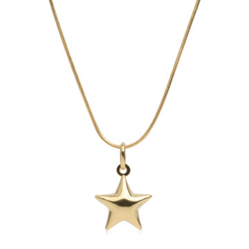Collana stella bombata in argento 925